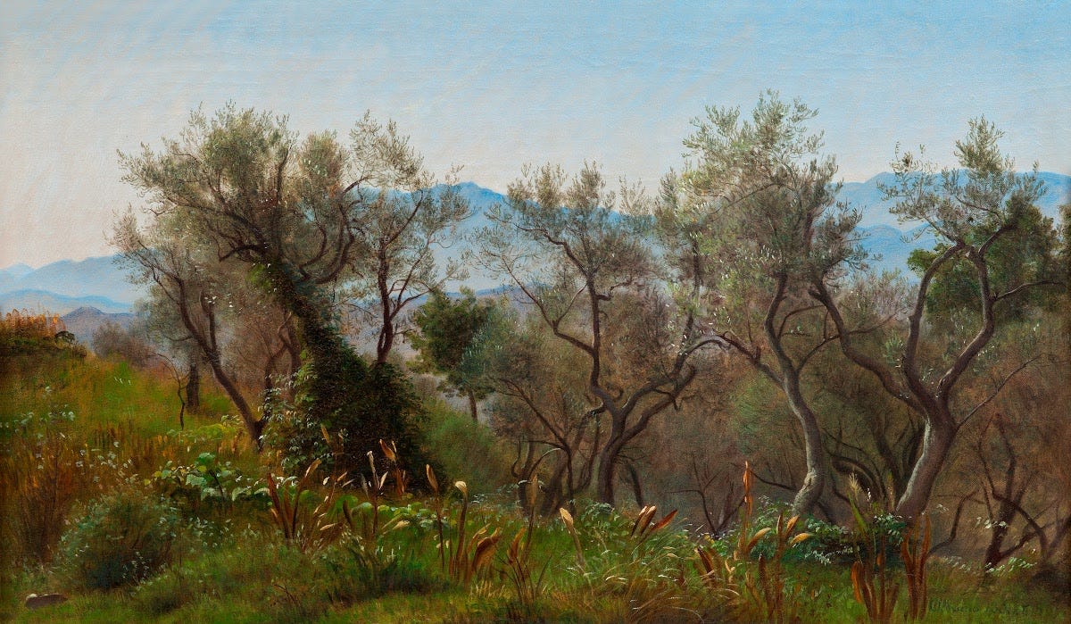 Olive Trees at Olevano with Mountains in the Background - Peter Christian Skovgaard — Google Arts & Culture Olive Trees at Olevano with Mountains in the Background - Peter Christian Skovgaard — Google Arts & Culture