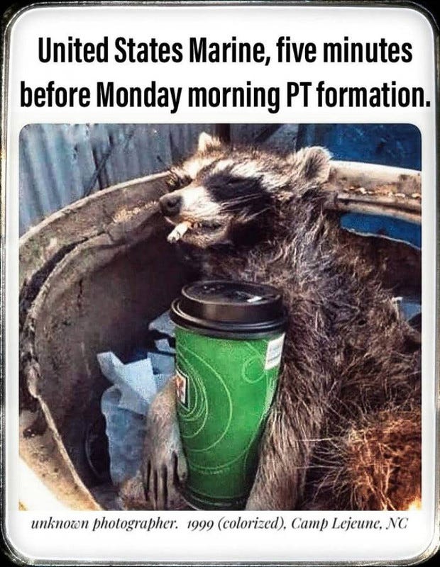 Funny military memes, B.S., and shotgun club! | Page 108 | Tacoma World