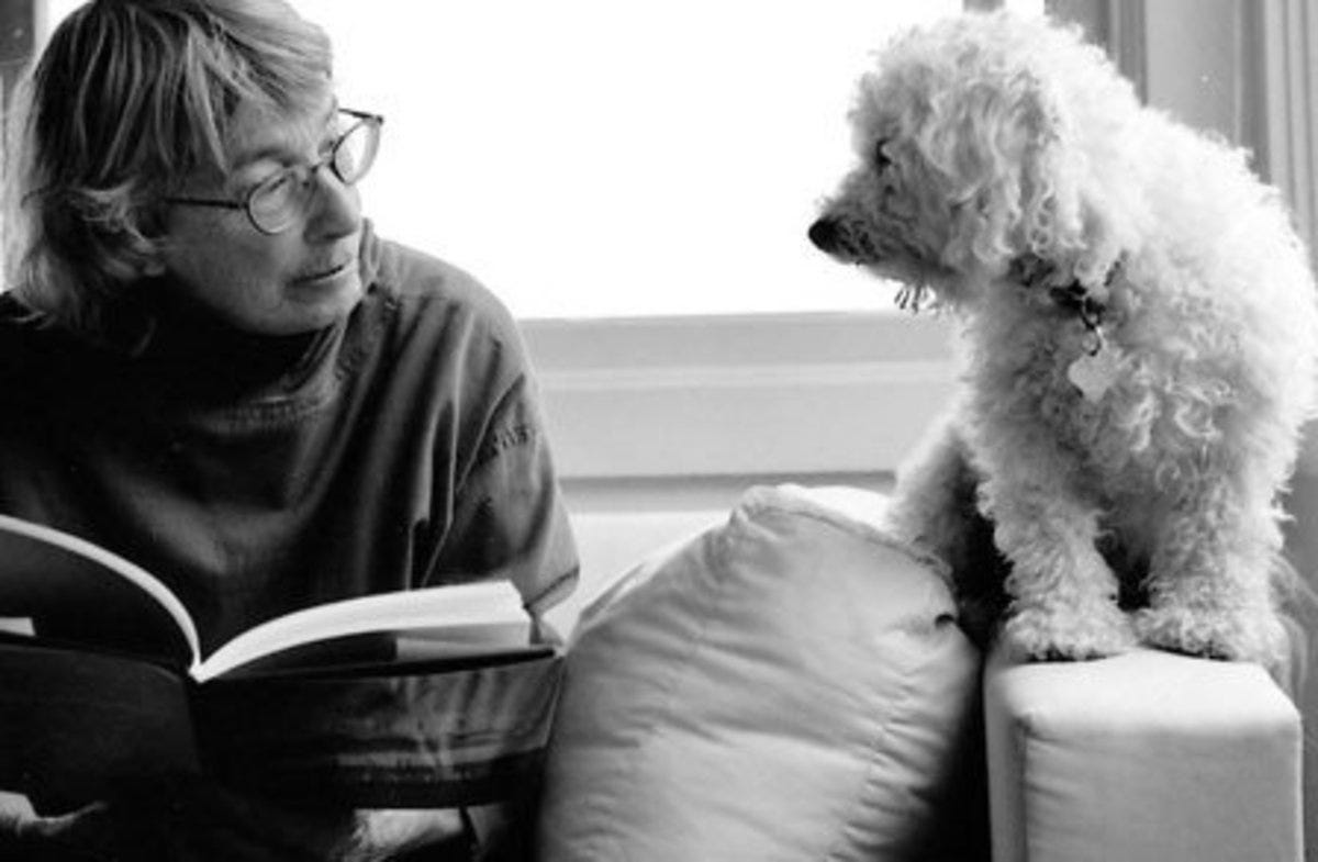 Analysis of Poem "The Journey" by Mary Oliver | Owlcation