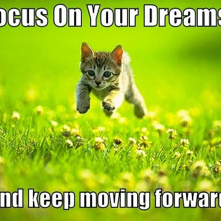 Navigating the Mind-field 