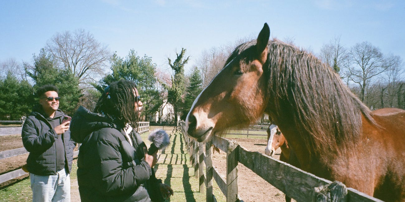 Do horses actually hate running? 🐎🐎🐎