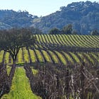 Under the Hood: Where Is Napa in the Five Stages of Grief?