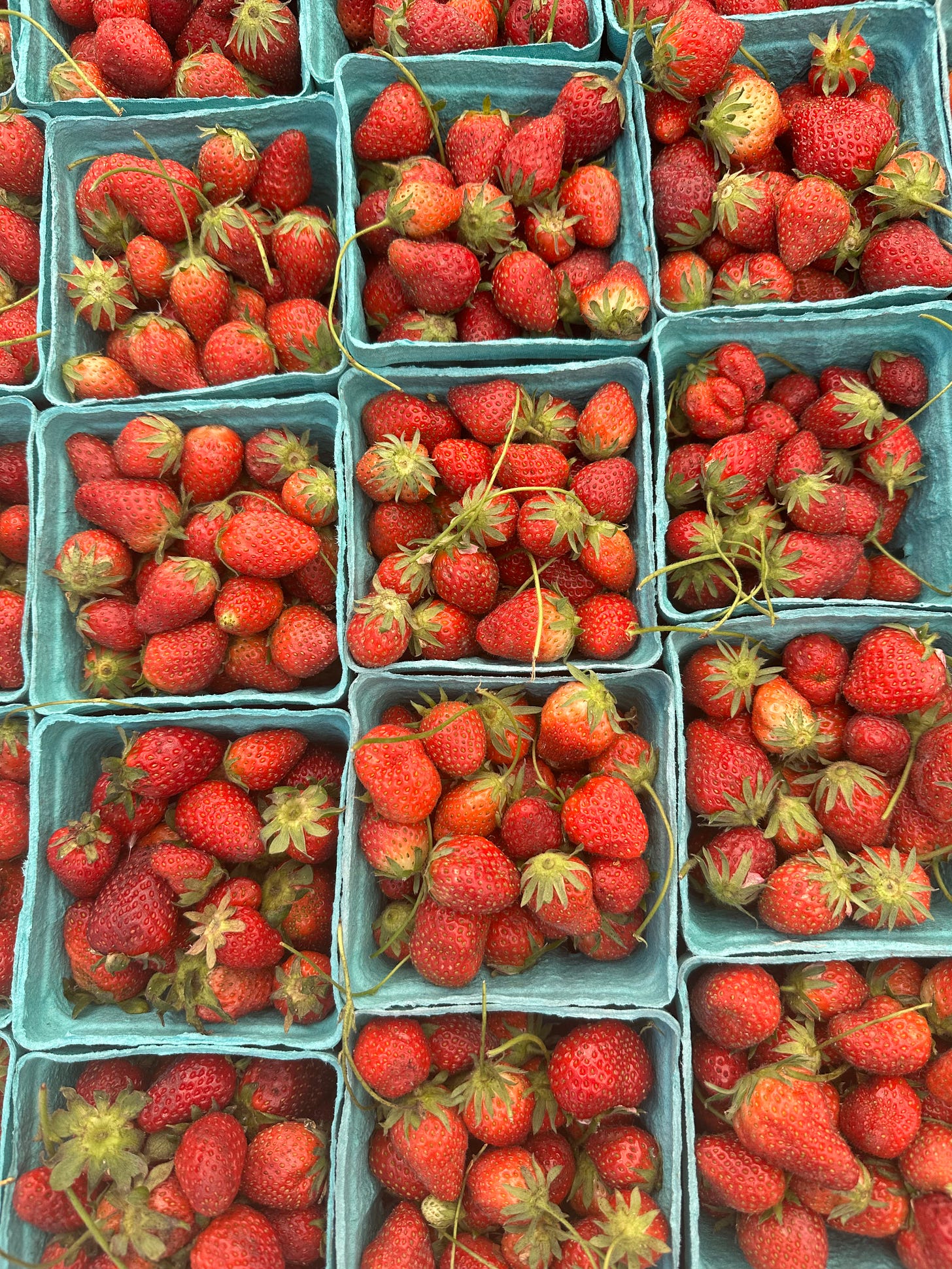 strawberries in green pint containers