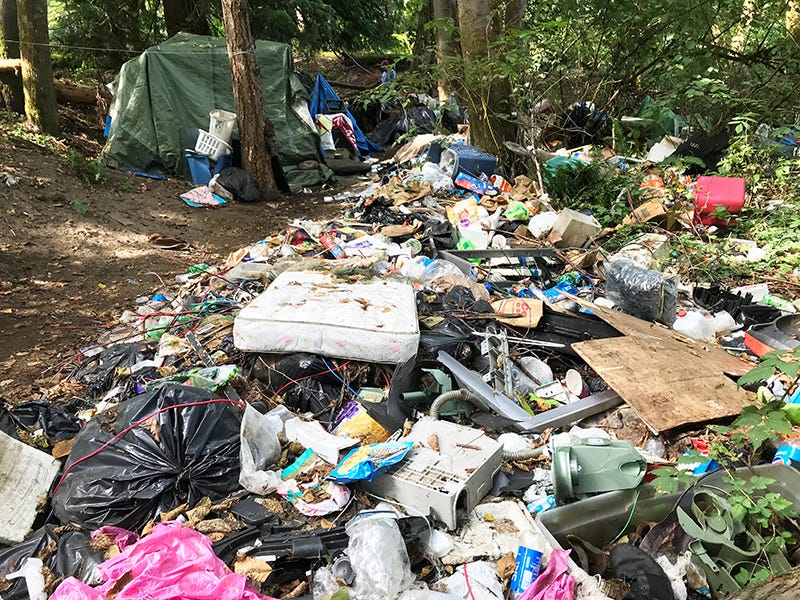 Homeless encampment cleanup will help protect Washington residents from  contamination - Washington State Department of Ecology