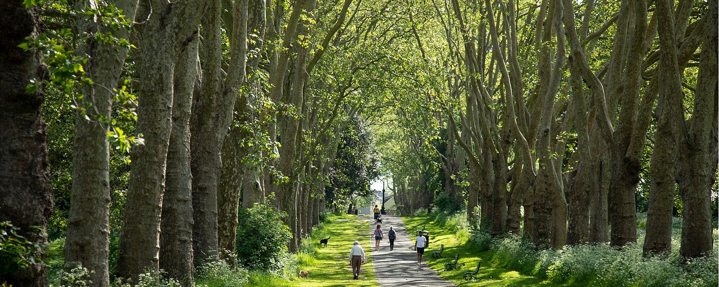 The Bake Box at St George Park