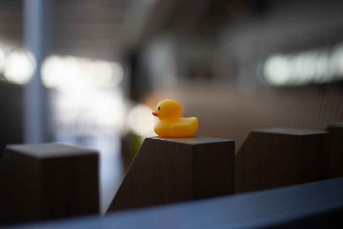 Tiny rubber duck on what looks like a zoomed in keyboard Tiny rubber duck on what looks like a zoomed in keyboard
