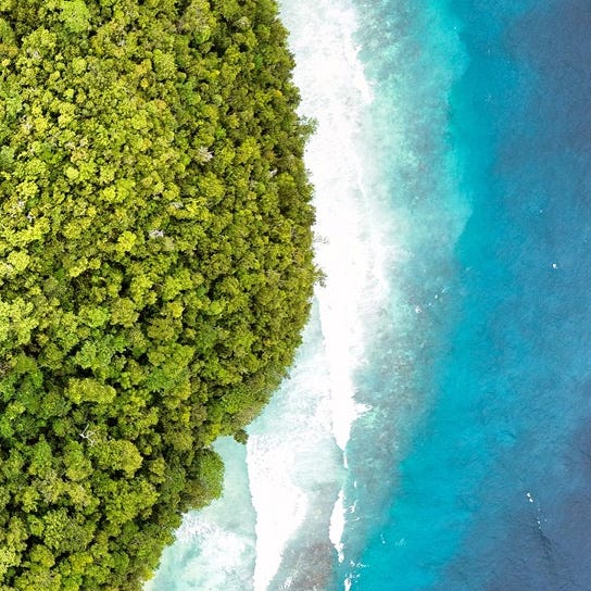 Nature briefs by Rhett Ayers Butler