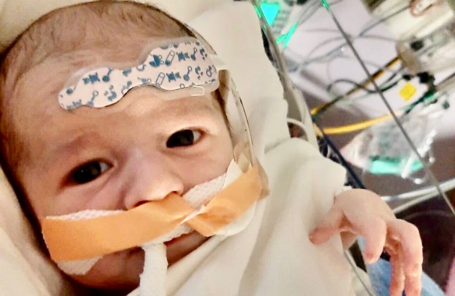 celiafarber.substack.com