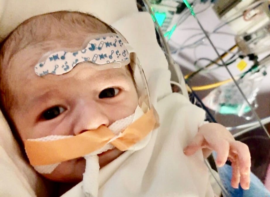 celiafarber.substack.com