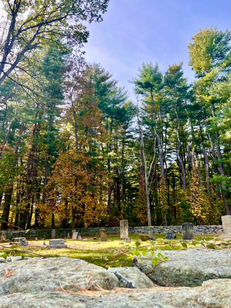 Historic Olney Family Cemetery in Lincoln Woods State Park, Rhode Island, showing weathered stone grave markers nestled under tall trees with golden autumn leaves, casting dappled sunlight across mossy ground — a quiet, secluded resting place evoking themes of memory, time, and forgotten histories.