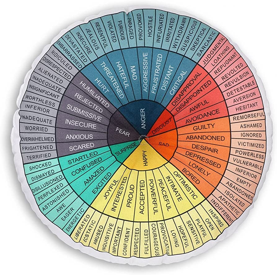 Wheel of Emotions Feelings Pillow Round Throw Circle Seating Floor Cushion  Comfortable Round Pillow Floor Cushions Mat for Therapist Counseling Office  Home Sofa Decor(20 x 20 Inch)