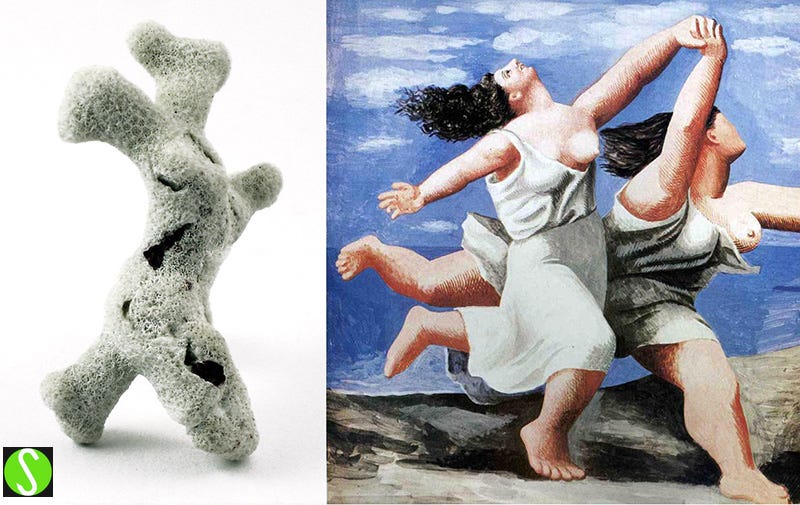 comparrison piece by Steve Butcher of a found piece of coral and Picasso's 'Two women running on the beach'