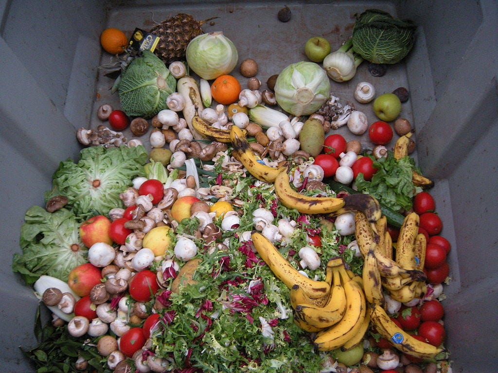 Good looking fresh produce in a dumpster. What a waste!