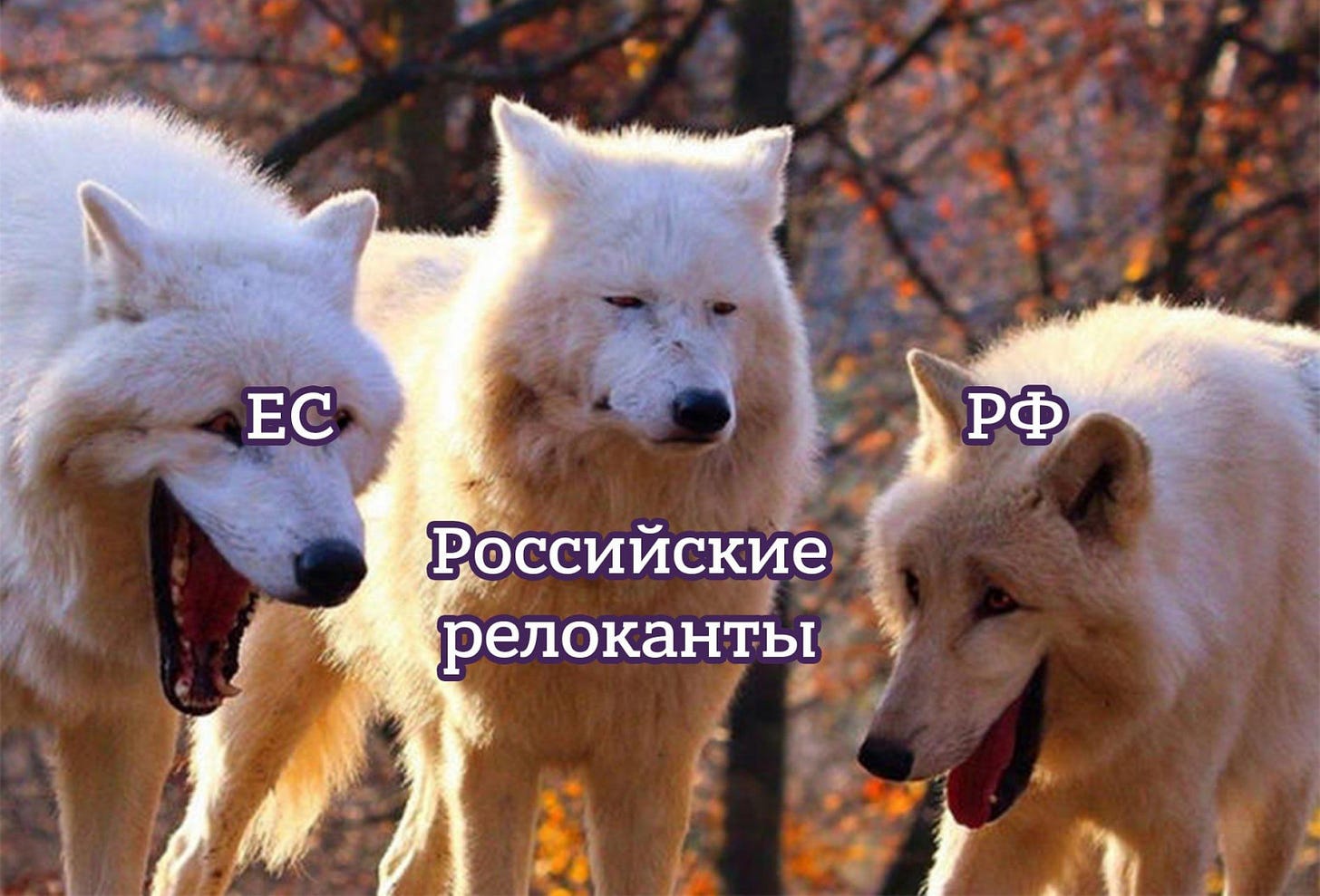 В общем, ситуация с новыми санкциями, как обычно, такая [Мем: Лентач] 