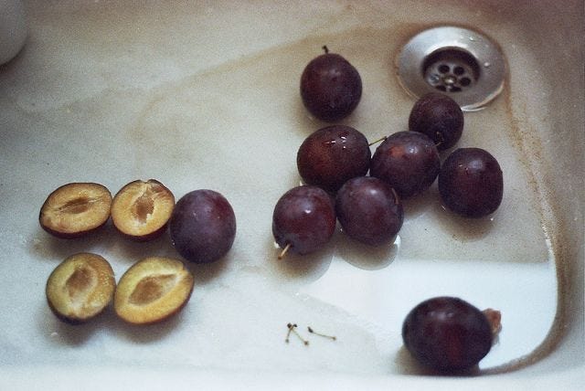 This may contain: plums sitting on the edge of a sink next to a drain faucet