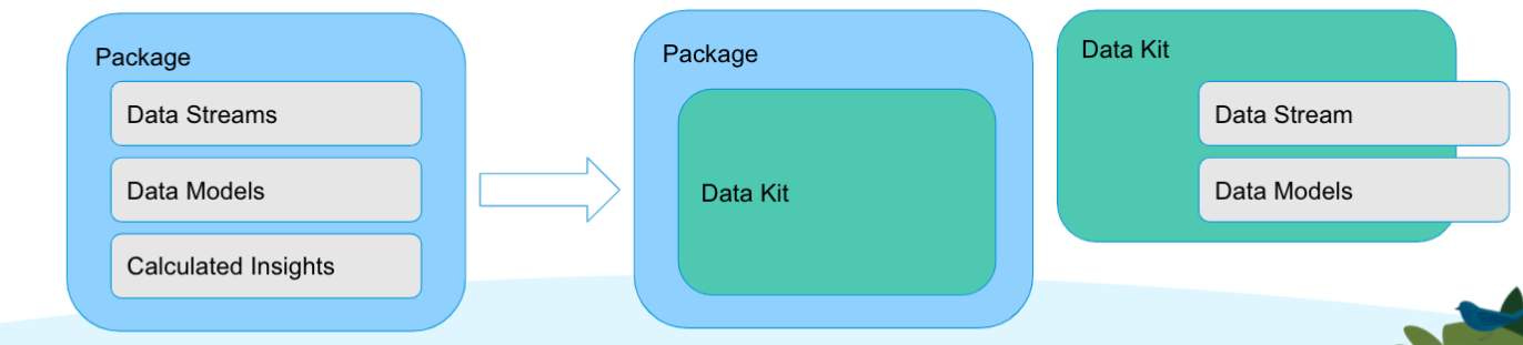 1st Package example contains data streams, data models, and calculated insights. 2nd package example contains a data kit that contains data streams and data models.
