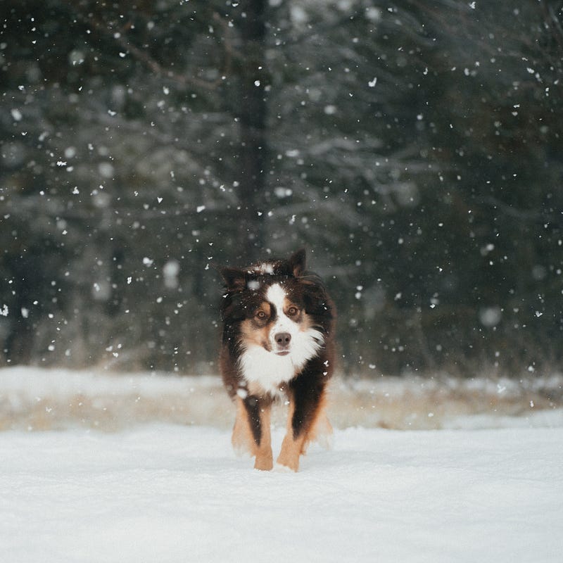 Hasselblad 907x 90mm