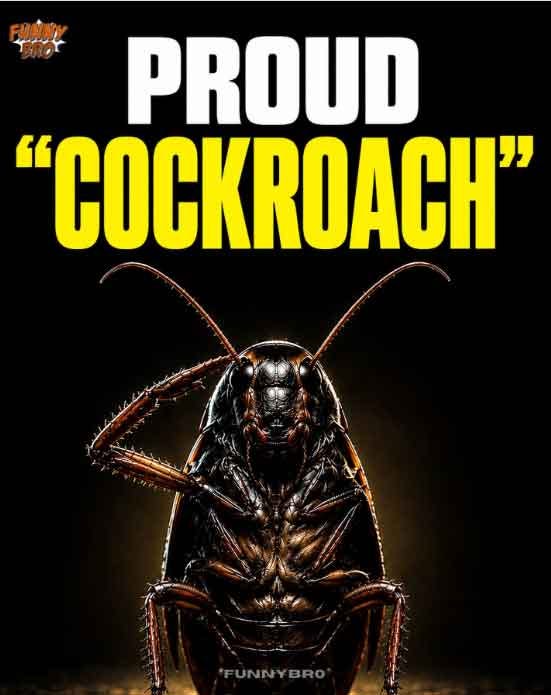 From “Cockroaches” to a Digital Rebellion: How India's Gen Z Turned Insult  into Resistance | Countercurrents