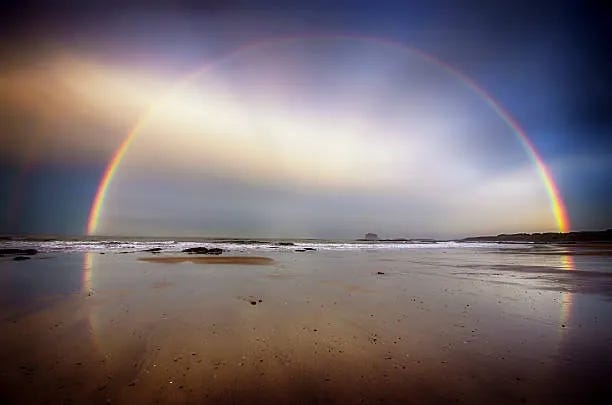 Epistle 8. All is well?