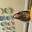 Between Numbers and Life's avatar