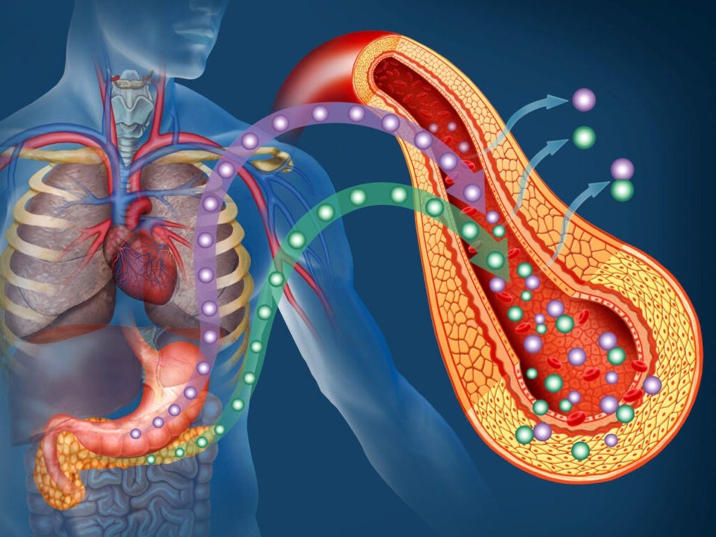 Insulin Resistance: A Natural Approach to Healthy Blood Glucose Levels