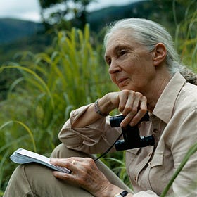 Jane Goodall: über Hoffnung, Weisheit und Unermüdlichkeit