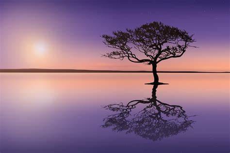 Calming Pictures