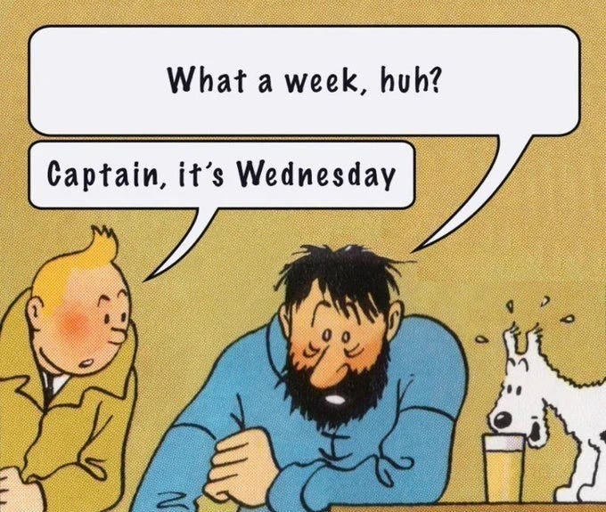 What a week, huh? all Wednesdays (@whataweekhuh) / X