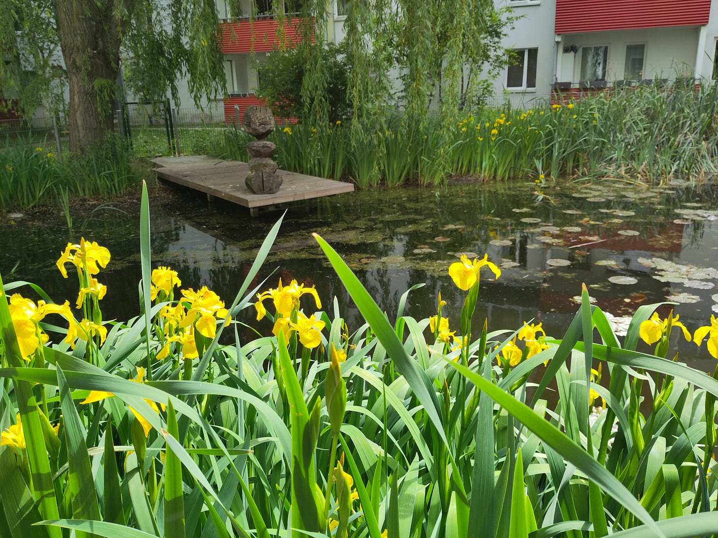 The photo shows a small pond with yellow flowers in the foreground and trees and a wooden sculpture in the background.
