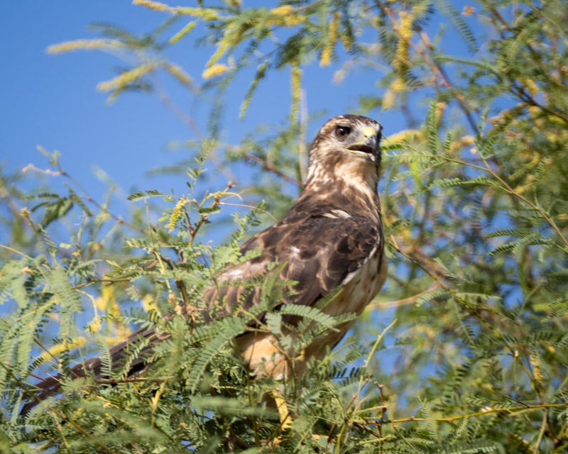 20250801-Manville-108-Edit.jpg 20250801-Manville-108-Edit.jpg