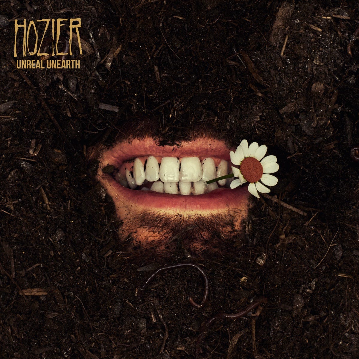 Unreal Unearth - Album by Hozier - Apple Music