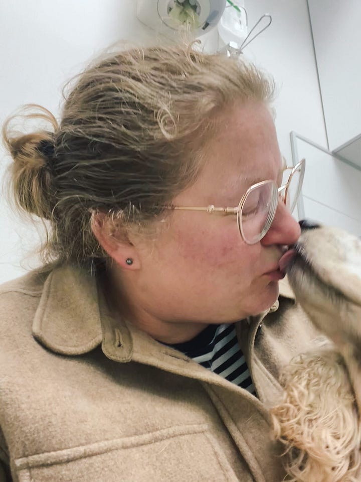 dog before euthanasia