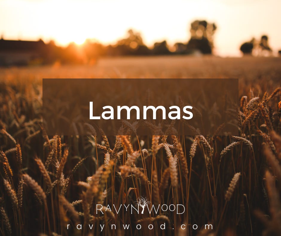 Lammas image of wheat field at sundown. Ripe wheat in the foreground. 