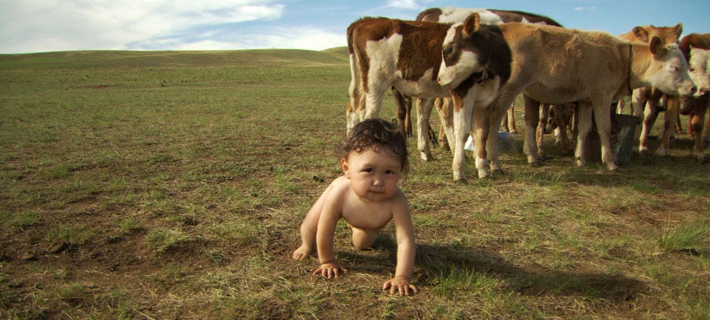 A Look at the Babies of Babies, Ten Years Later