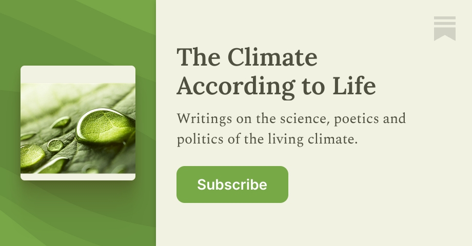 Substack Lewis Lin The Climate According to Life | Rob Lewis | Substack
