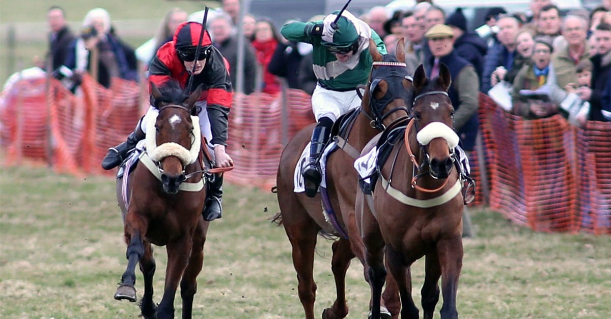 Point-to-point racing organised by the Holderness Hunt Point-to-point racing organised by the Holderness Hunt