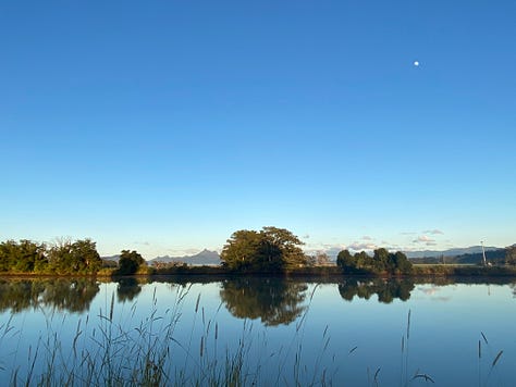 Images:1) a view through reeds and across a blue river to a mountain with three peaks - small, medium and big. 2) an old truck with with a red patina, 3) a river reflection, 4) a river reflection of opposite bank. 5) a misty river in golden light. 6) a river view with a moored tourist boat and mountain in background. 7) a large tree with golden light hitting upper branches with old truck with red patina and sunflowers in foreground. 8) wattle aka mimosa in foreground with a large tree in golden light and mountain in background.