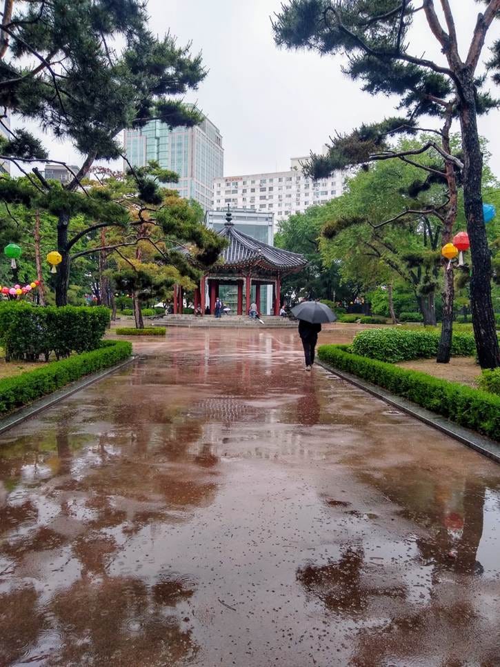 A person walking on a wet path with an umbrella

AI-generated content may be incorrect.