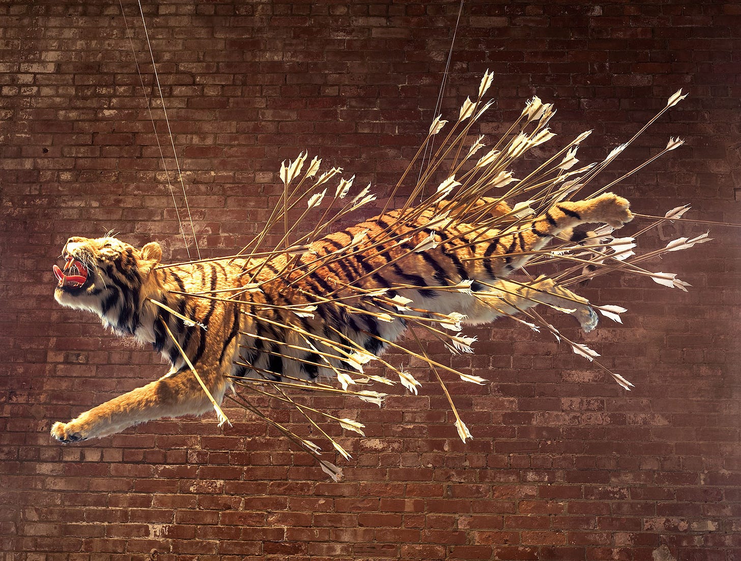 Cai Guo-Qiang – Art Works for Change