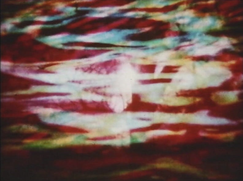 an image from Incantation; shots of water and trees overlaid atop one another to create a psychedelic collage of shadow and color