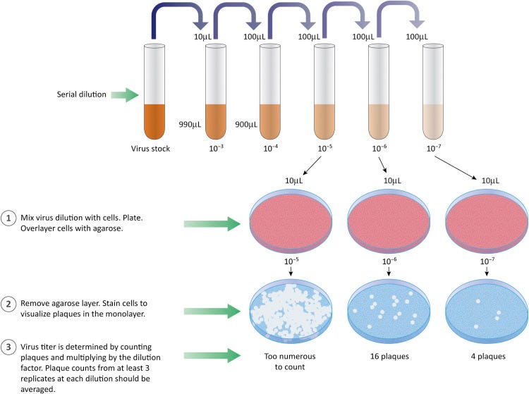 Plaque Assay - an overview | ScienceDirect Topics Plaque Assay - an overview | ScienceDirect Topics