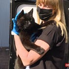 Sens. Whitehouse And Wyden To Dick Durbin: THIS Is How You Investigate These MFers, MFer! 