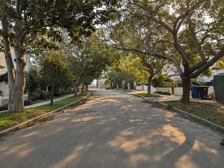 trees burned by houses