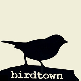 Birdtown now has a WhatsApp Community