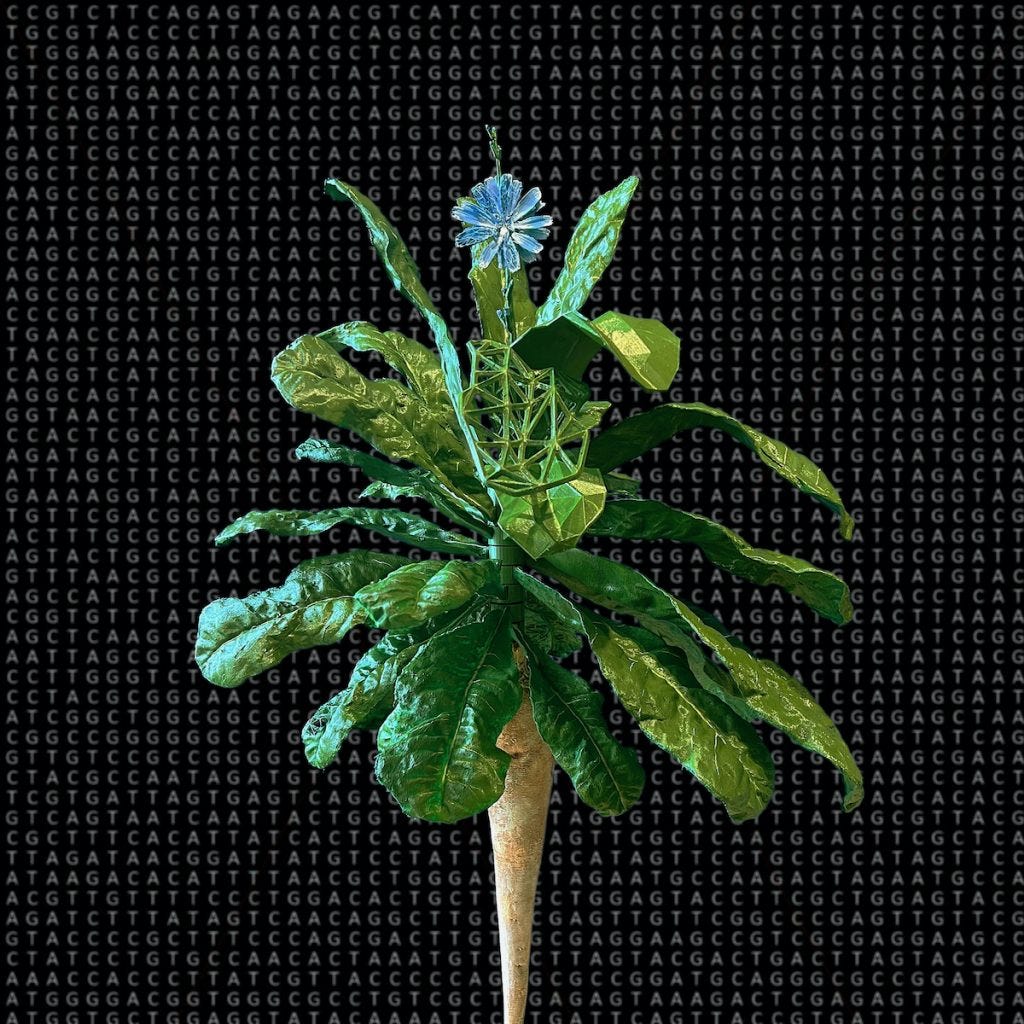 Biotechnology from the Blue Flower - Anna Dumitriu