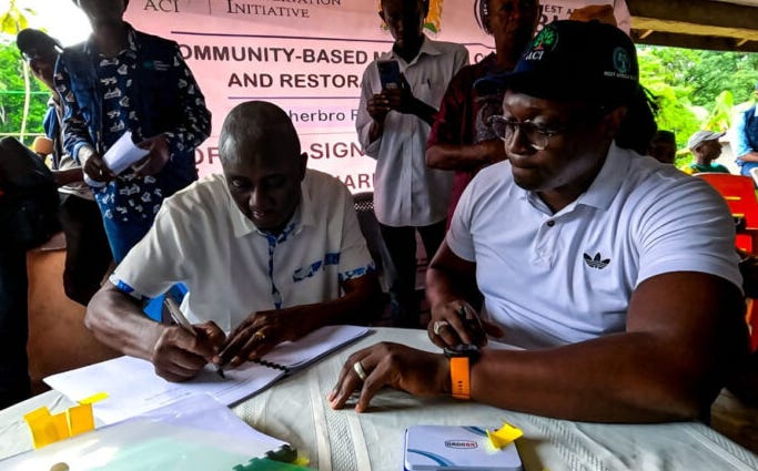 les communautés locales gèrent leurs forêts de mangroves en Sierra Leone les communautés locales gèrent leurs forêts de mangroves en Sierra Leone