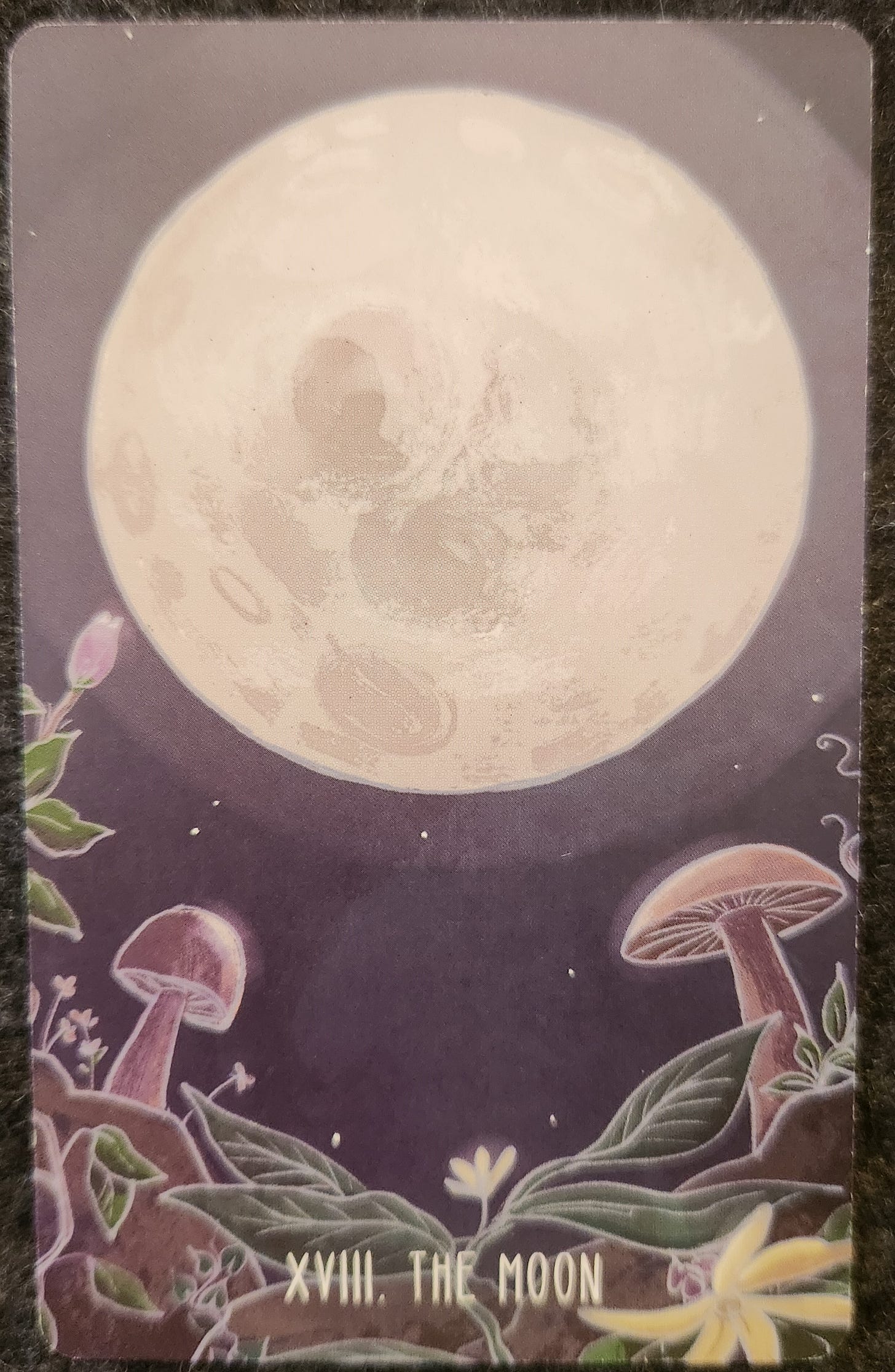A tarot card labelled XVIII. The Moon. A large, bright full moon fills a dark blue night sky. On the ground, various mushrooms are glowing in the moonlight. 