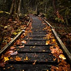 Halton in Full Colour