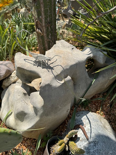 Nine images of sculpture placed within the cactus garden Vives Verde.