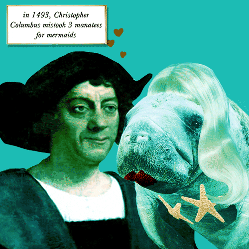 Columbus and Manatee
